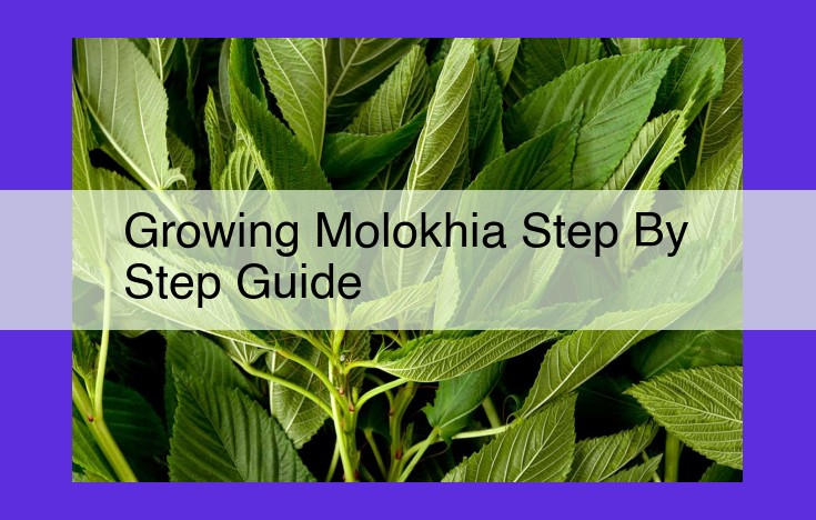 Definitive Guide to Growing Molokhia: Step-by-Step Success