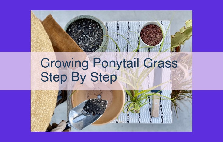 Growing Ponytail Grass: A Comprehensive Guide for Lush and Beautiful Plants