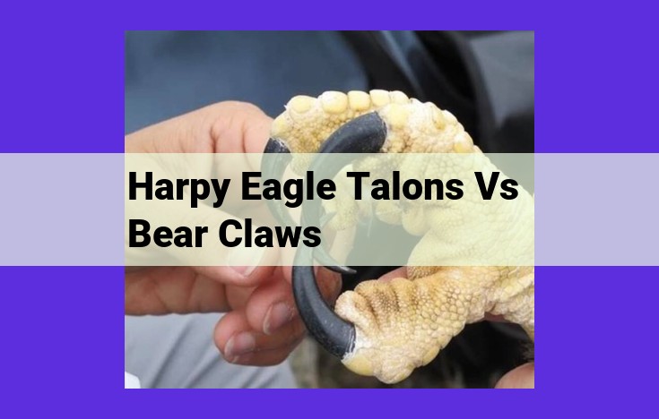 Specialized Appendages in Harpy Eagles and Bears: Adaptations for Diverse Ecological Niches