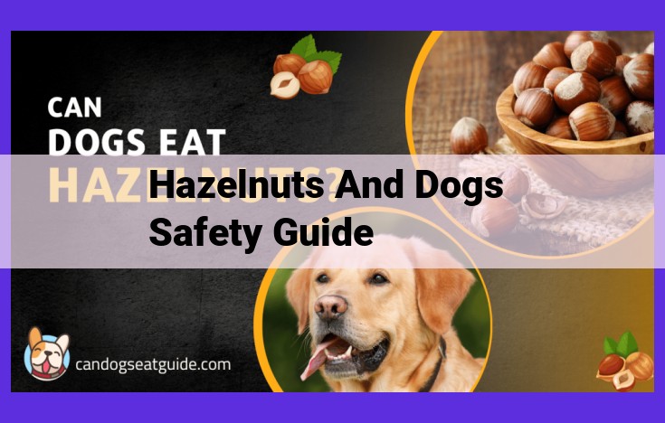 Hazelnut Safety for Dogs: A Comprehensive Guide for Pet Owners