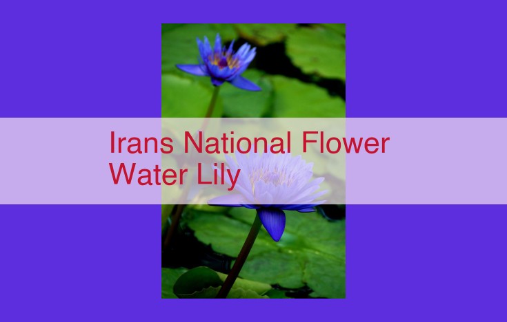 Iran's National Flower: Water Lily (Nymphaea Lotus): A Symbol of Heritage and Biodiversity