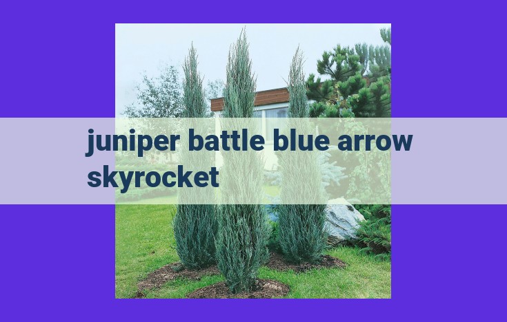 Blue Arrow Skyrocket Juniper: An Evergreen Masterpiece for Drought-Tolerant Landscapes