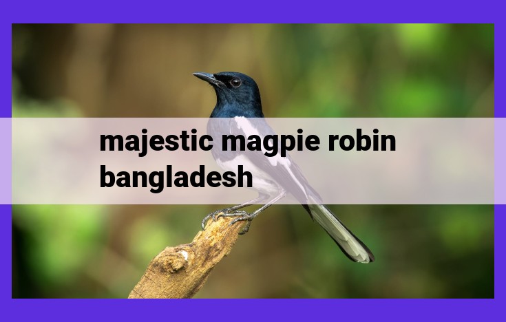 Magpie Robin: Bangladesh's National Bird | Plumage, Song, Diet, Territory, Life Cycle