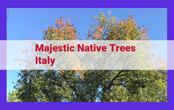 Discover the Enchanting Native Trees of Italy: Guardians of Nature's Tapestry