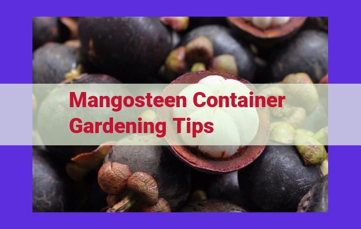 Maximize Mangosteen Cultivation in Containers: Essential Guide for Bountiful Harvests