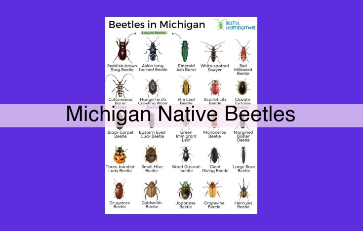 Michigan's Diverse Beetle Population: Exploring Unique Species and Their Ecological Roles