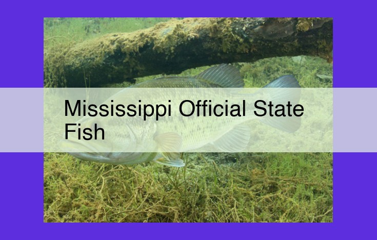 Mississippi's Alligator Gar: A Symbol of Aquatic Heritage and Ecological Importance