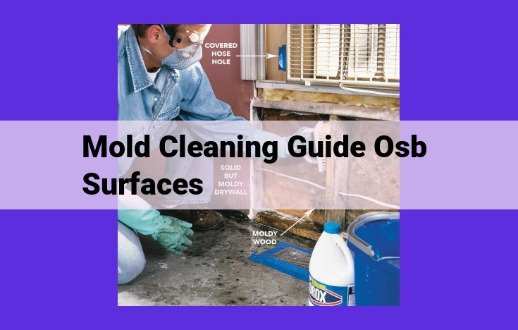 Comprehensive Mold Cleaning Guide for OSB Surfaces: Protect Your Health and Property