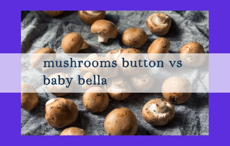 Explore the Culinary Treasures: Comparing Button and Baby Bella Mushrooms