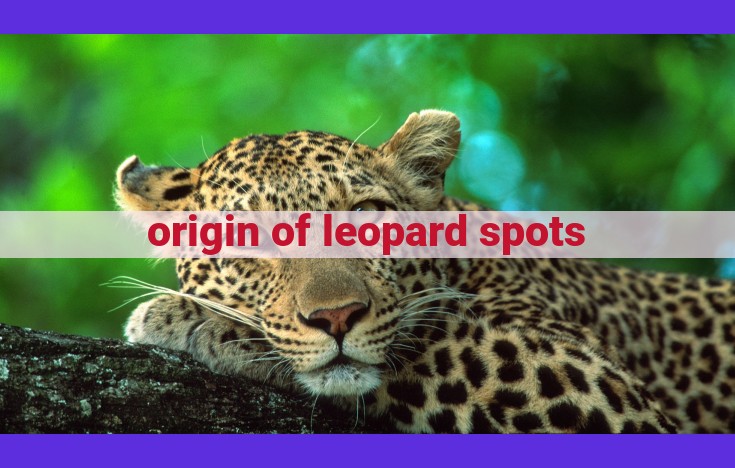 The Evolutionary Origins of Leopard Spots: How Camouflage Protects and Shapes a Species