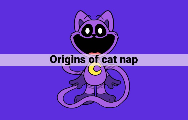 Cat Naps: Unlocking the Benefits of Feline Sleep for Optimal Health and Function