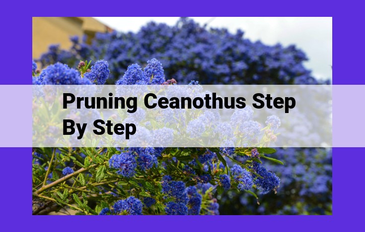 Expert Pruning Guide for Ceanothus: Maintaining Health, Shape, and Beauty