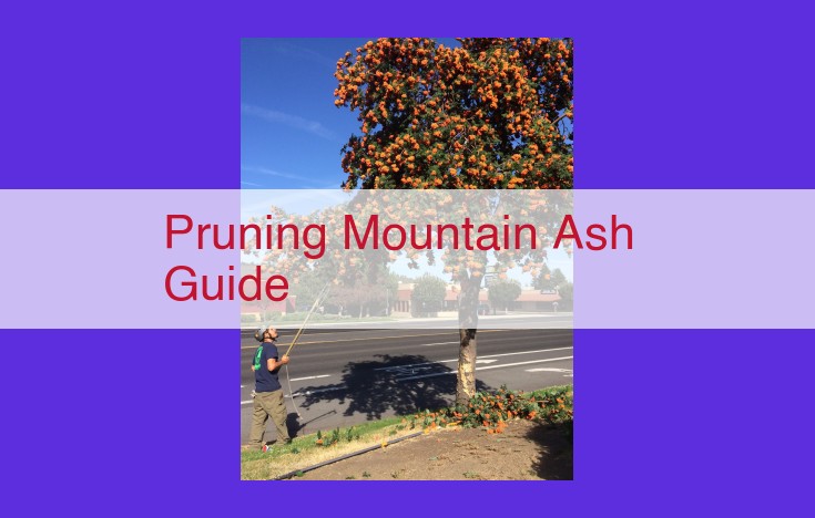 Master Guide to Pruning Mountain Ash Trees: Health, Safety, and Aesthetics