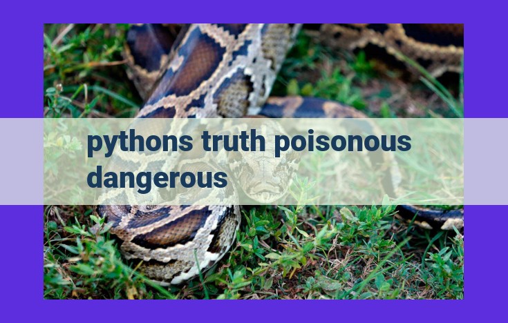 Pythons: The Truth vs. Venom - Comprehending their Dual Nature