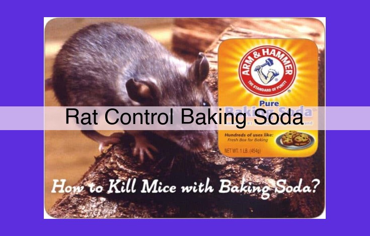 Safe and Humane Rat Control: Baking Soda as a Viable Solution