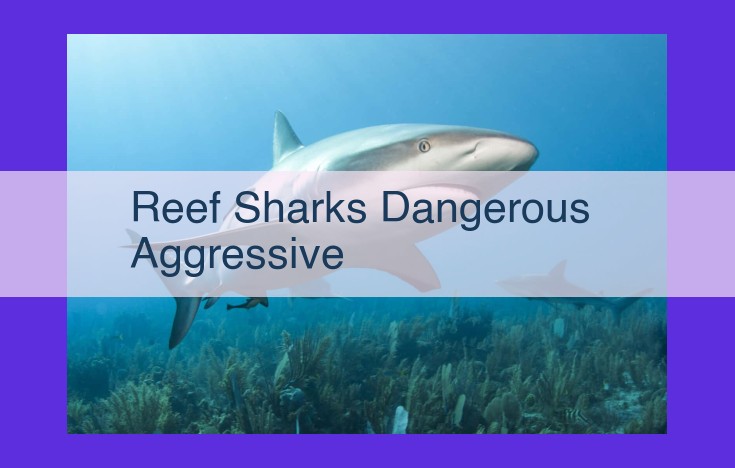 Understanding Reef Sharks: Debunking the Myth of Aggression