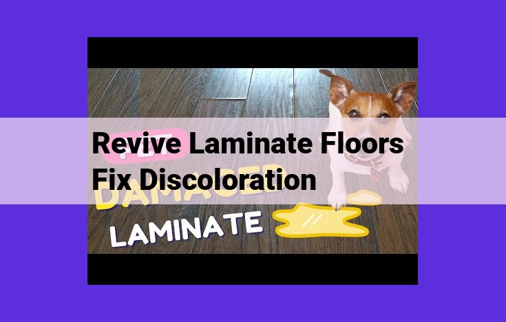 Laminate Flooring Maintenance and Discoloration Prevention: A Comprehensive Guide