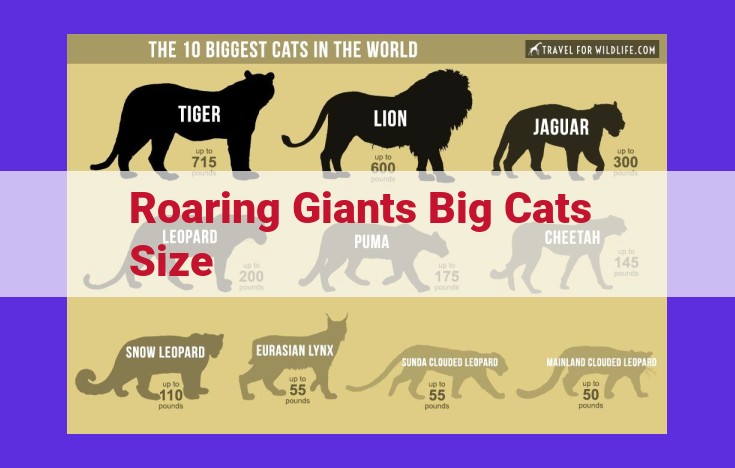 Unveiling the Impact of Size in Big Cats: Exploring Mass, Volume, Area, Length, and Height