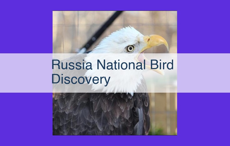 Discover Russia's Avian Treasures: From Azure Tits to Ural Owls