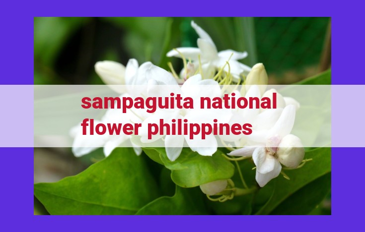 Sampaguita: The Philippines' National Flower - Symbolism, Uses, and Cultural Significance