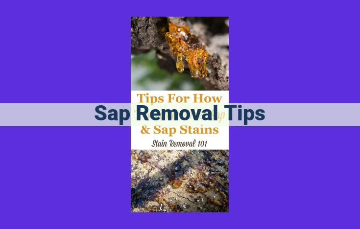 Ultimate Guide to Eliminate Sap Effectively: Clothing, Car Paint, and Windows