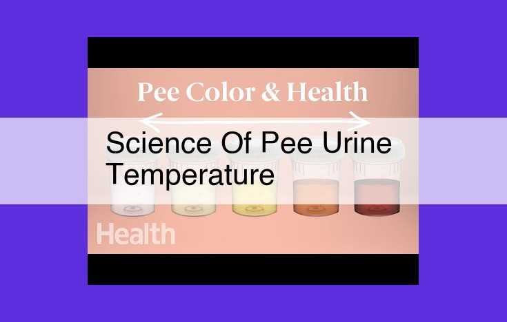 Unlocking the Power of Urine Temperature: A Diagnostic Tool for Health and Hydration