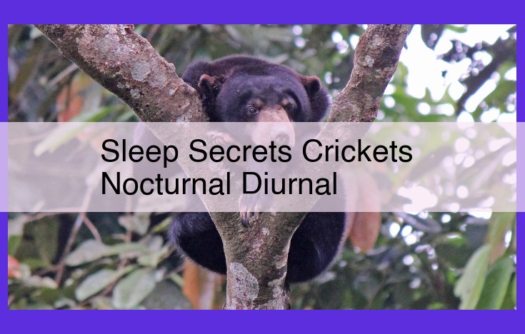 Understanding Sleep and Nocturnal Behavior: From Insomnia to Animal Rhythms