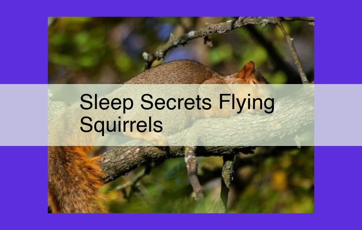 Nocturnal Flying Squirrels: Sleep Cycles, Hibernation, and Behavior