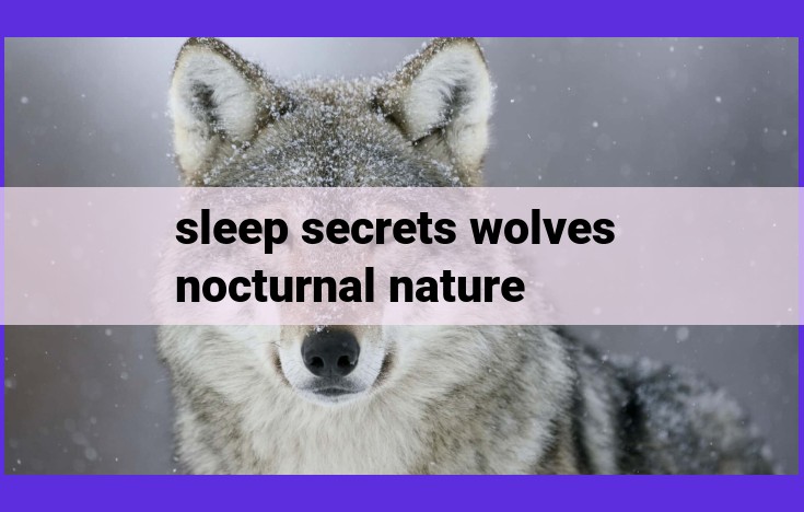 Unlock the Sleep Secrets of Wolves: Optimizing Human Sleep, Social Connectivity, and Tackling Sleep Disorders