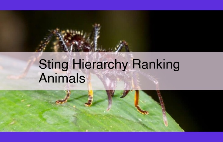 The Role of Stings in Animal Social Hierarchies