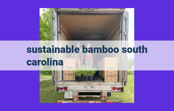 Harness the Sustainable Power of Bamboo in South Carolina: Benefits and Opportunities