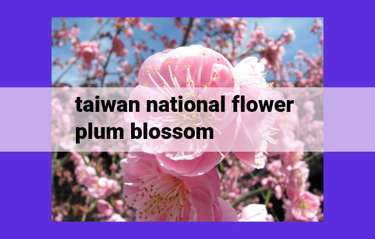 Unlocking the Symbolism of Taiwan's National Flower: The Plum Blossom