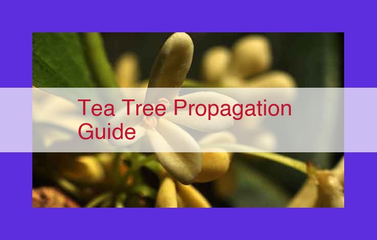 Ultimate Guide to Tea Tree Propagation: From Cuttings to Transplantation