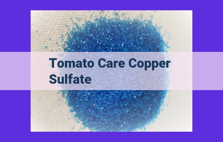 Copper Sulfate: A Complete Guide to Its Role in Tomato Disease Control