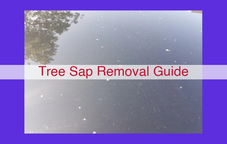 Professional Tree Sap Removal: A Comprehensive Guide to Preserve Tree Health