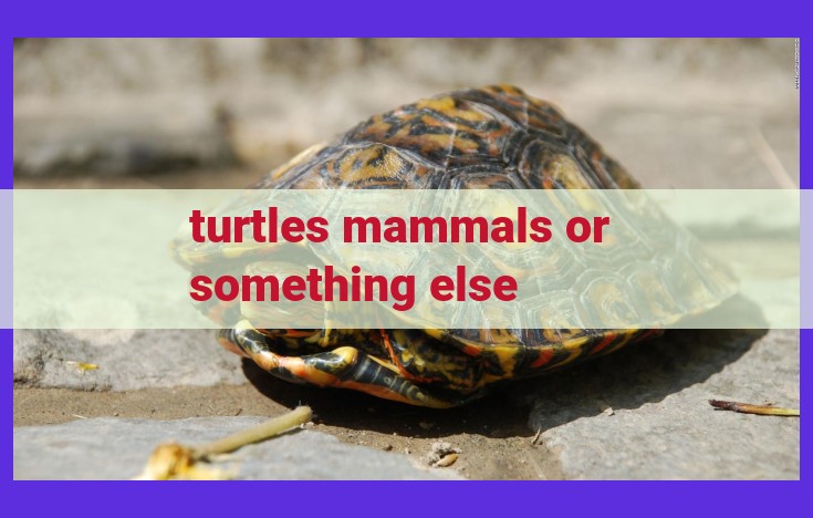 Unveiling the Extraordinary World of Turtles: A Comprehensive Guide to Testudines