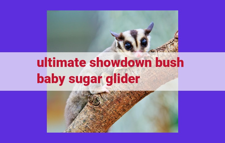 Ultimate Showdown: Bush Baby vs Sugar Glider - Nocturnal Agility Battle