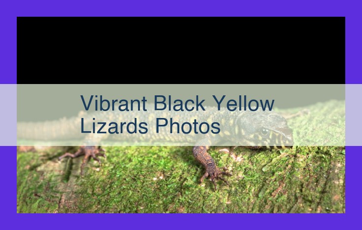 Unleash the Enchanting World of Vibrant Black and Yellow Lizards: A Comprehensive Guide for Nature Photographers