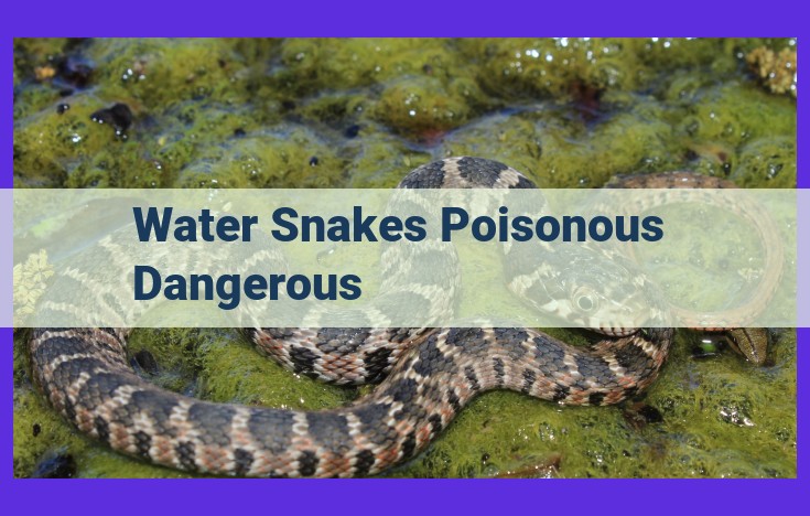 Understanding the Dangers and Prevention of Water Snake Bites