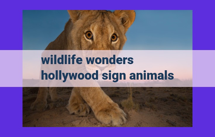 Discover Wildlife Wonders Park: Hollywood Glamour & Animal Encounters