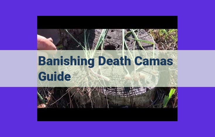 Comprehensive Guide to Identifying and Mitigating Death Camas: Staying Safe in Nature