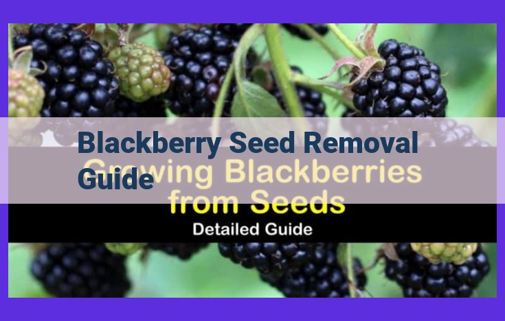 Unlock the Seedless Blackberry Paradise: A Guide to Pure Delight