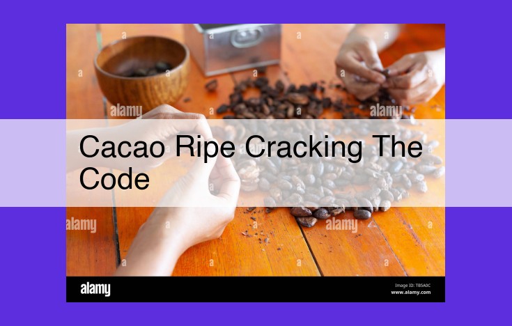 The Alchemy of Chocolate: Transforming Cacao Beans into Culinary Delights