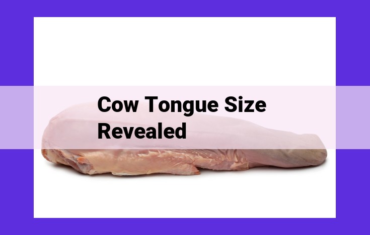 Unveiling the Remarkable Diversity of Cow Tongue Size: Insights into Bovine Anatomy and Function