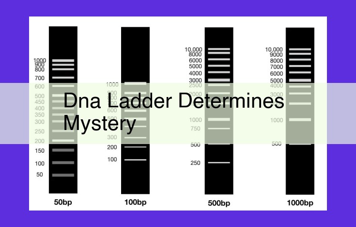 DNA Sequencing: A Revolutionary Technique for Genetics Research (Sanger Method)