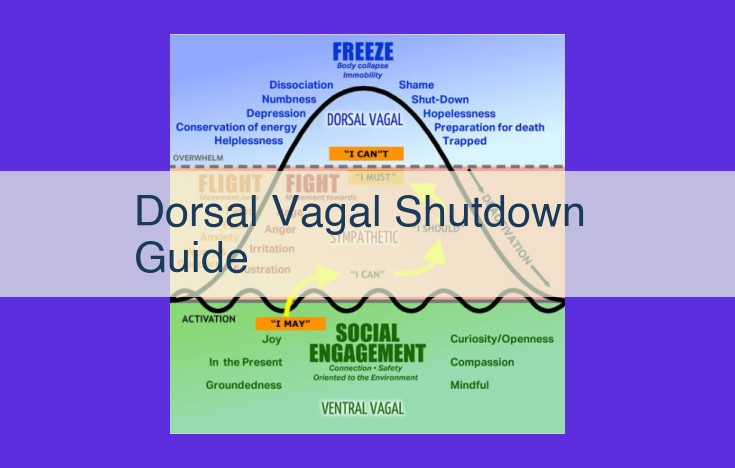 Comprehensive Guide to Dorsal Vagal Shutdown: Understanding and Managing Stress and Emotional Dysregulation