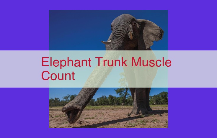 Unveiling the Complexity of the Elephant Trunk: A Symphony of Muscles and Biomechanics