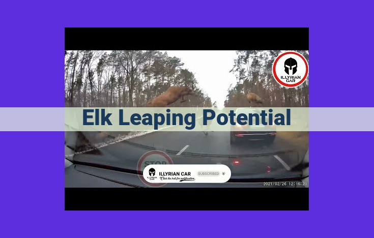 Elk Leaping Potential: Unveiling the Anatomy and Physiology of Vertical Jumping Ability