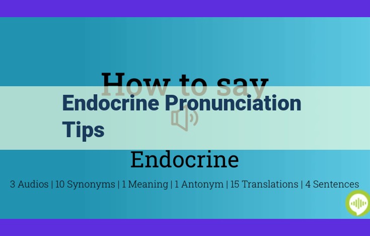 SEO-Optimized Title: Master Endocrine Pronunciation: Essential Tips and Regional Variations