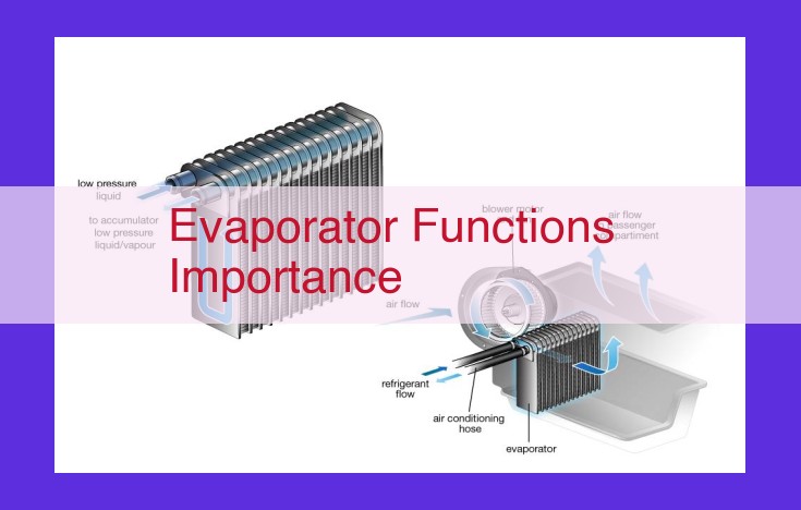 Optimized Title for SEO: The Role of Evaporators in Refrigeration: Heat Transfer Optimization and Cooling Performance